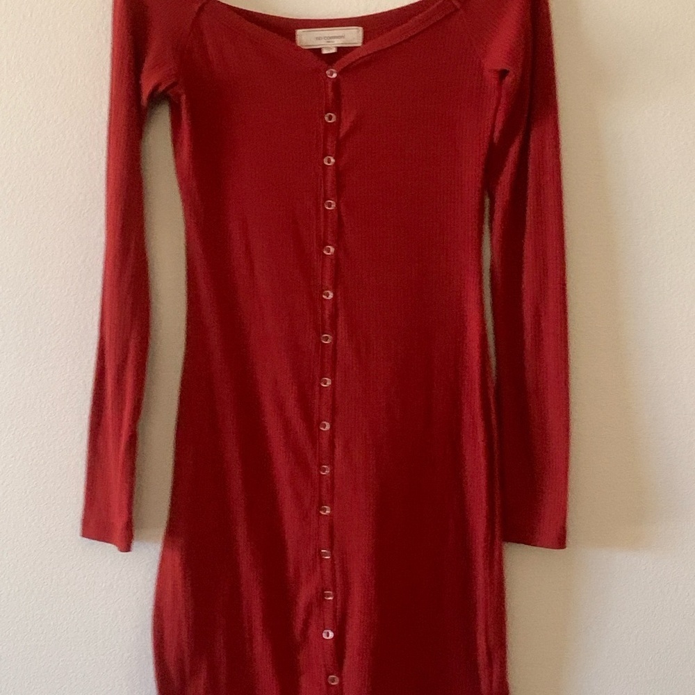 Chic Long Sleeve Dress